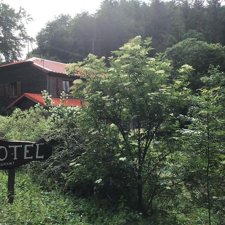 Hotel Restaurant La Fourmi Bourbach-le-Haut Buitenkant foto